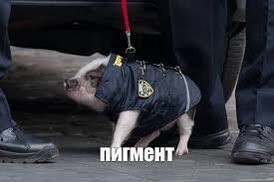 Приколы для настроения