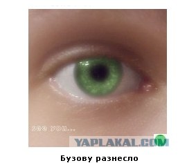 Автодемотиватор на ЯПе