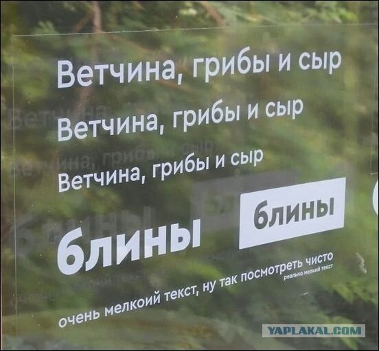 Перлы 04.02.24