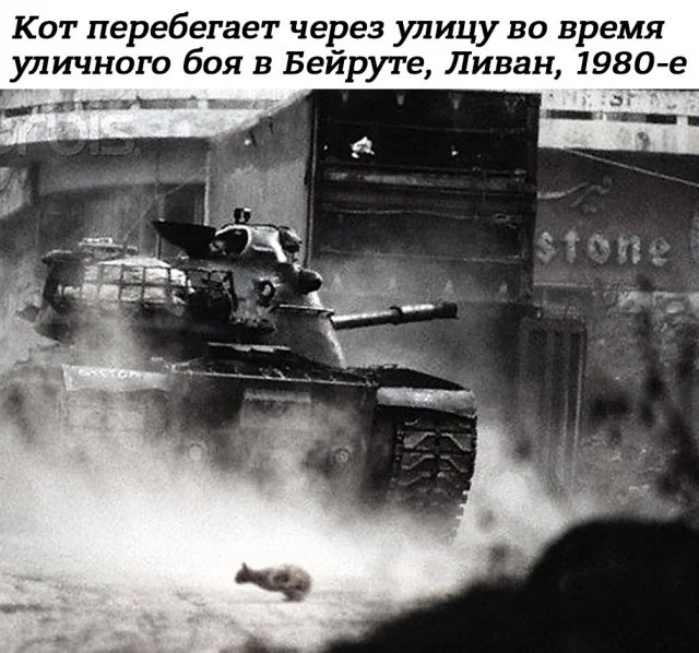 Интересные фотографии 1990-х 28.05.24