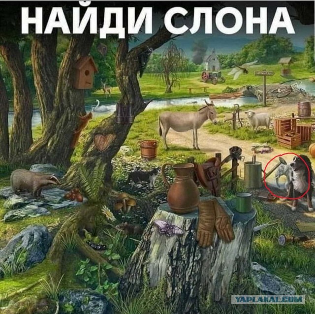 Завалялось тут случайно немного забавных картинок