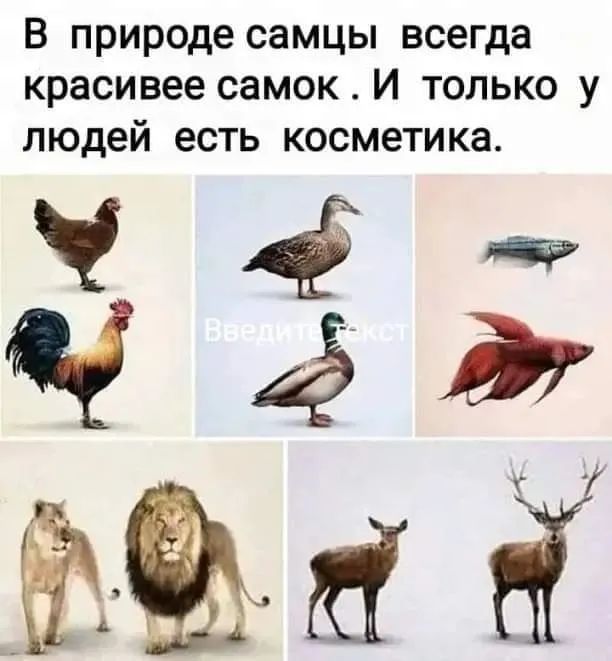 Завалялось тут случайно немного забавных картинок