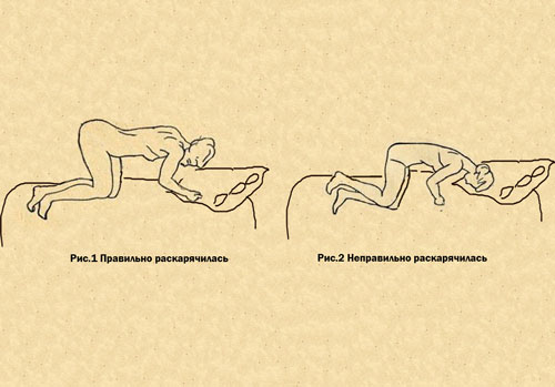 Жить по инструкции