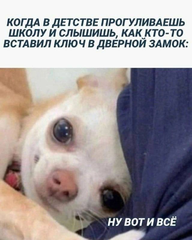 Веселые картинки к понедельнику (14.10)