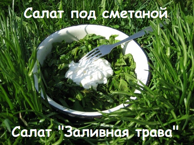 Кто какой салат будет делать на новый год?
