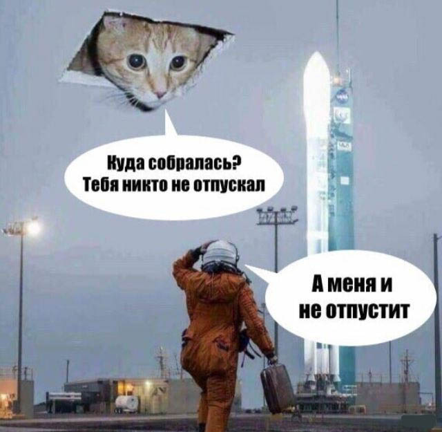 Минутка деградации