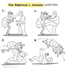 Друзья, как поймать/прогнать шершня?