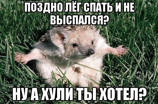 Картинки для деградации 60 (разной степени свежести)
