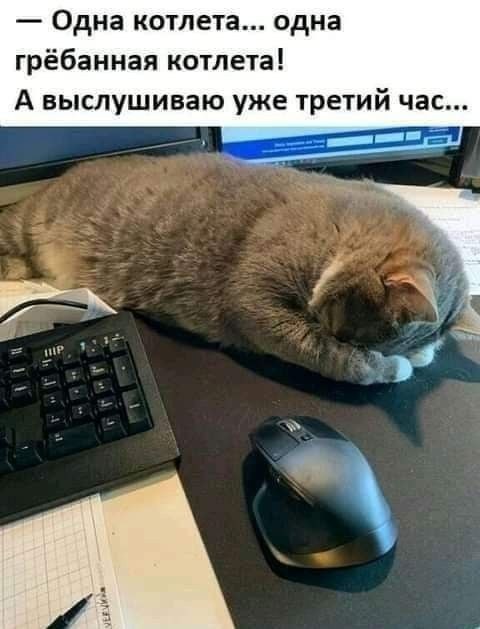 Воскресные картинки