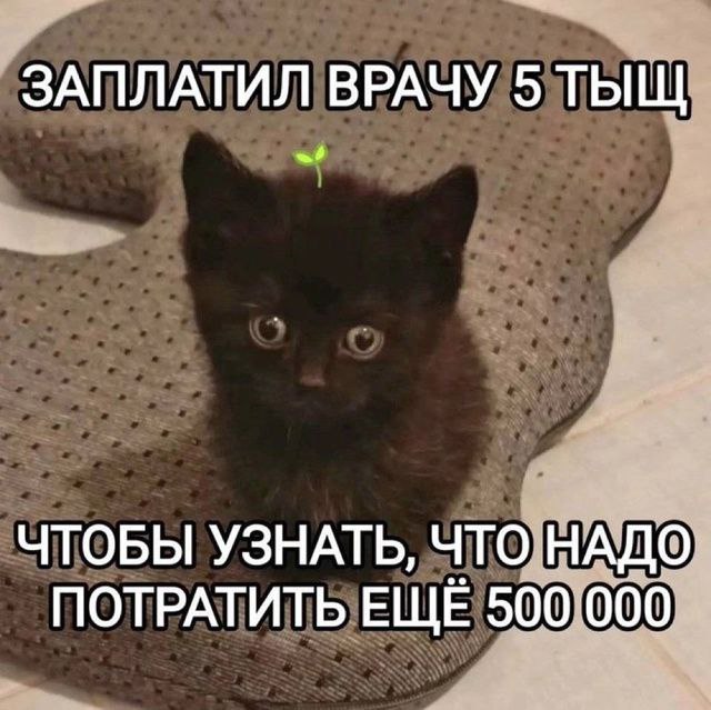 Небаянистая деградация 12