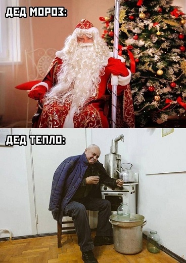 Розы гибнут на газонах...