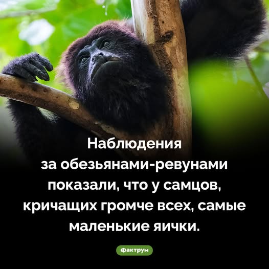 20701059.jpg