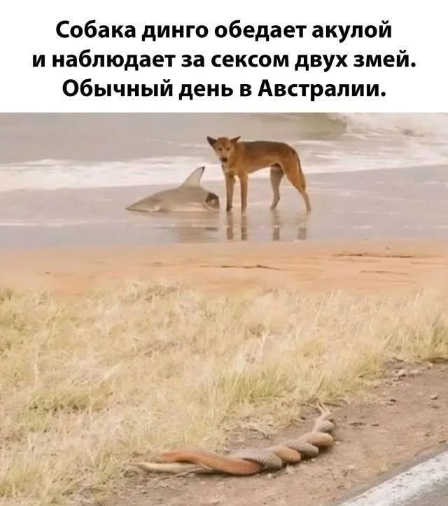 Картиночки, баянчики 07 апреля