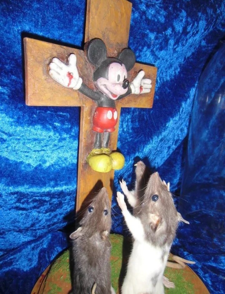 Как всё это назвать?