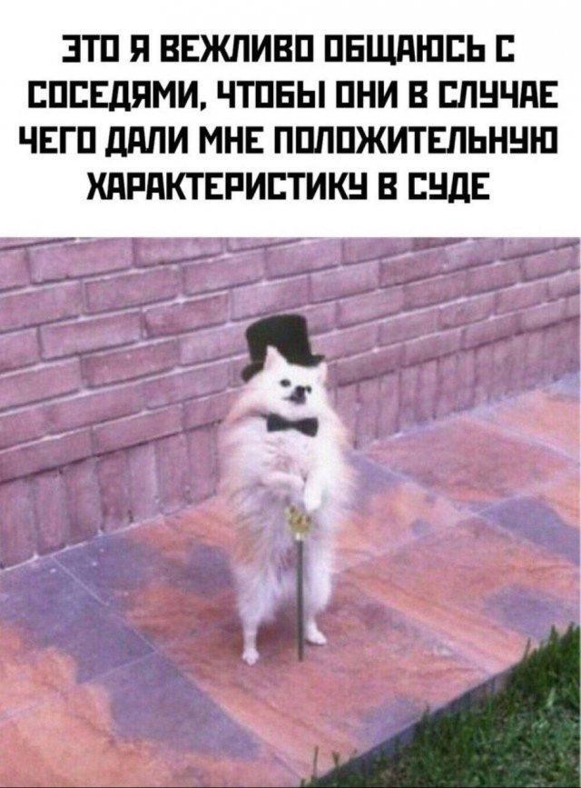 Картинки для деградации 204 (разной степени свежести)