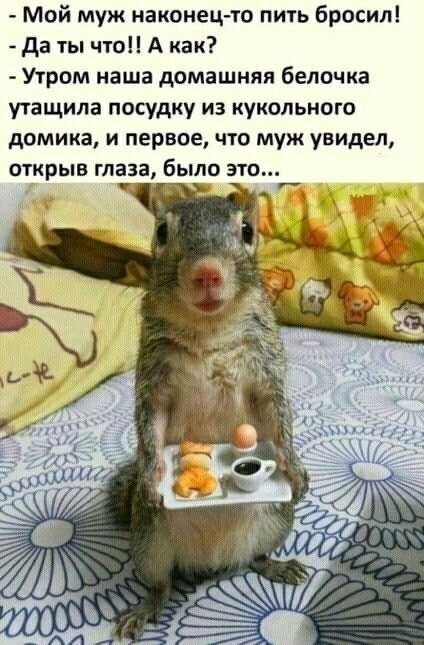 Картинки для деградации 221 (разной степени свежести)