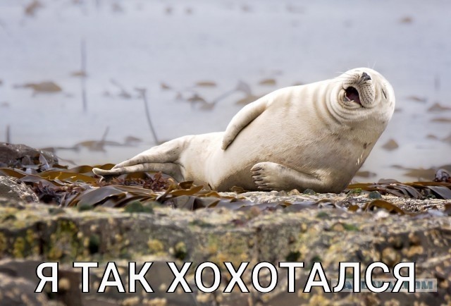 Был пацан, и нет пацана⁠⁠