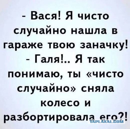 Веселые картинки в пятницу (21.08)