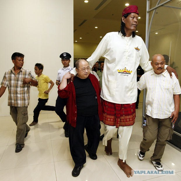 Suparwono - высокий человек из Индонезии (13 фото)