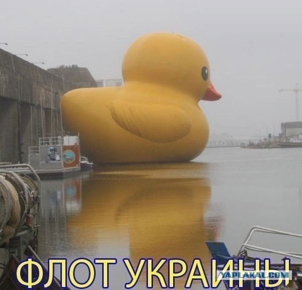 ВМФ Украины (15 фото)