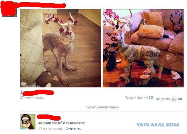 Весёлые картинки. Разбавим будни