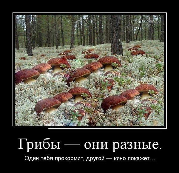 Весь Майдан снят на Мосфильме