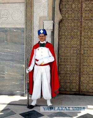 Так оденут полицейских