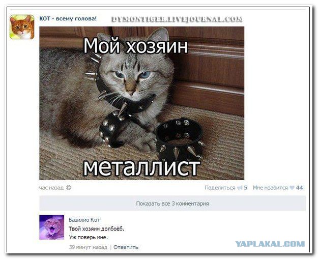 Комменты из соцсетей