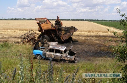 Урожай будет спасен!