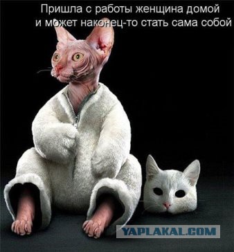 Веселые картинки