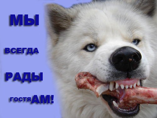 Внимание! Частная территория