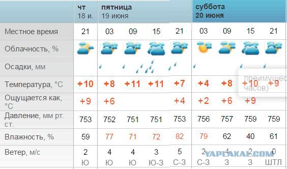 13 освежающих напитков, которые легко приготовить