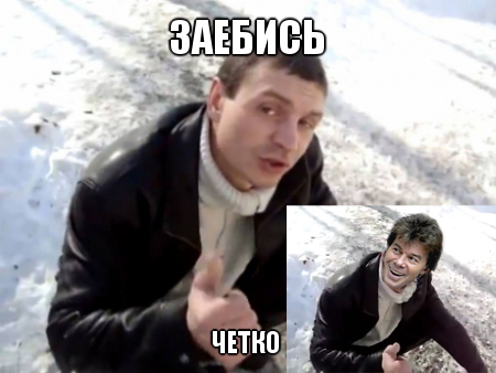 Карты,зебра,лесопарк...