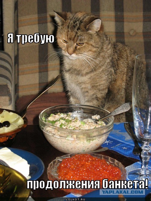 Сказка о рыбаке и отличной потенции