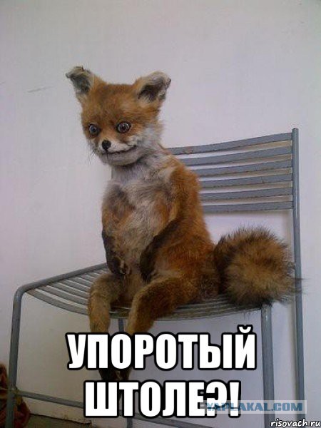 30 актеров, которых все путают