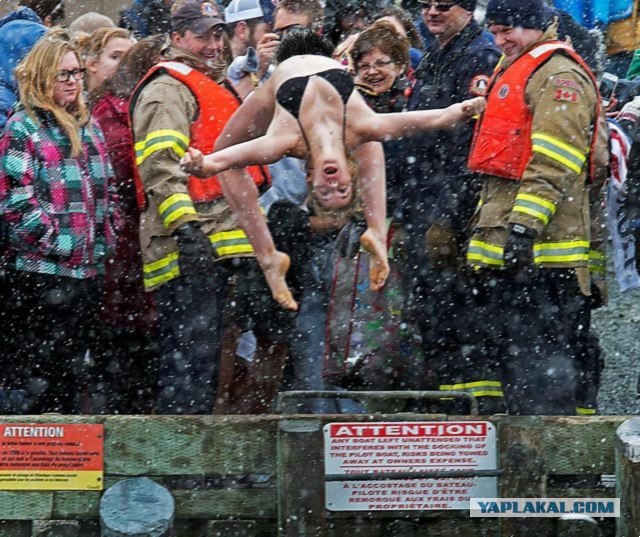 Удачное фото получилось