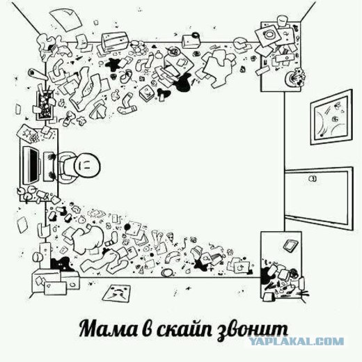 Звонок по скайпу.