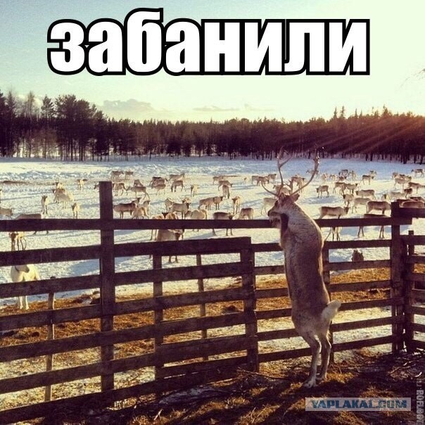 Чуть-чуть танков WoT
