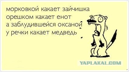 Картинки с надписями