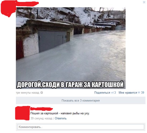 Ужасы и приколы из соцсетей 18+