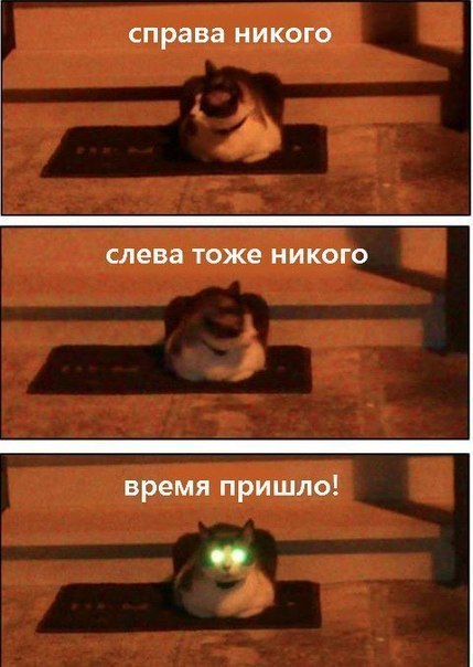 Картинки и демотиваторы