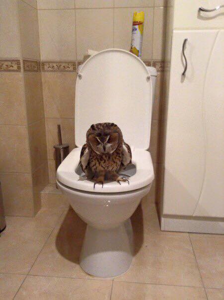 Разные картинки