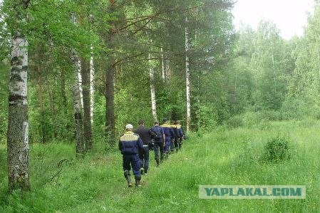 На Урале пилот с 12 собутыльниками угнал самолёт