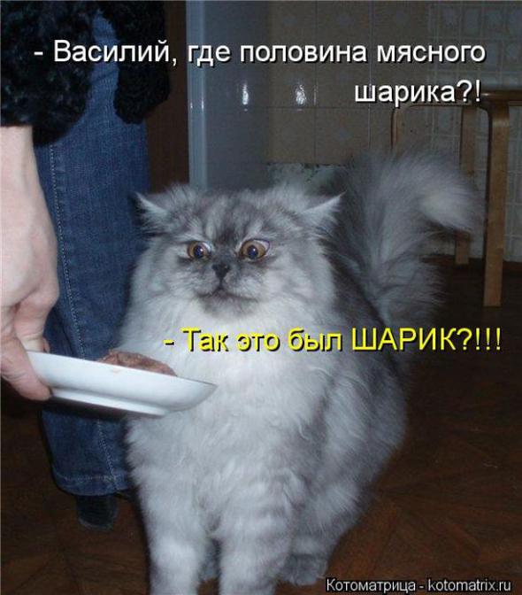 Пельмени ест?