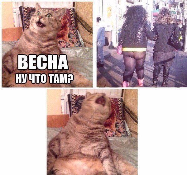 Ужасы и приколы из соцсетей 18+