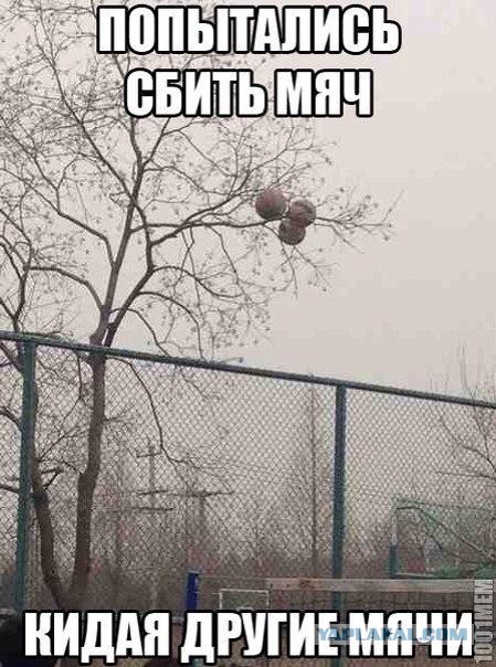 Картинки из ваших этих итернетов...