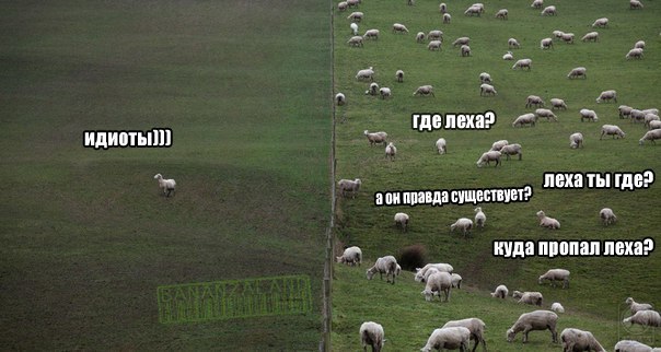 Подборка картинок 17.02.16