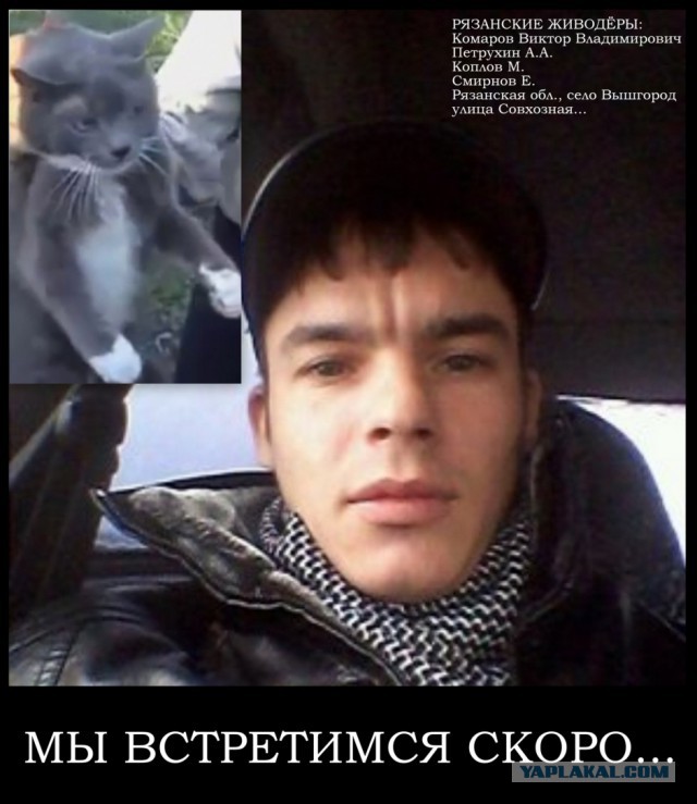 Лапы скручены верёвкой, ржут довольные фашисты