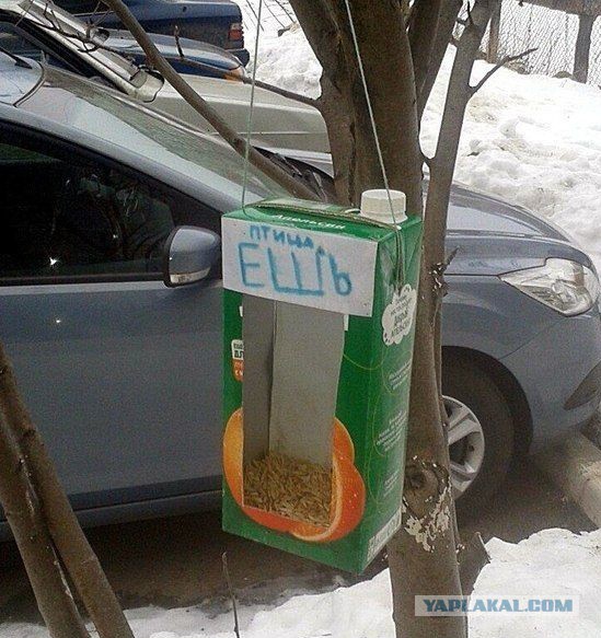 Четверговая солянка