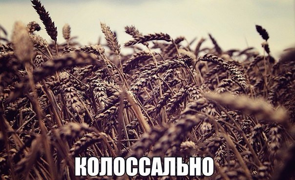 Подборка интересных и веселых картинок